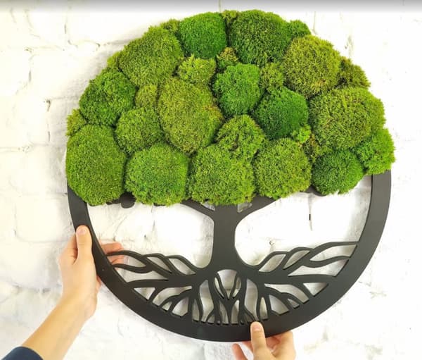 Mosbillede, Moss naturlig vægdekoration, stue badeværelse vægmaleri 100 x 100cm livets træ
