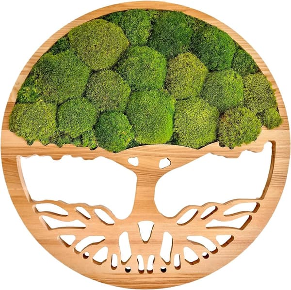 Moss Billede Moss Naturlig vægdekoration Stue Badeværelse Vægmaleri 60 x 60cm Livets Træ