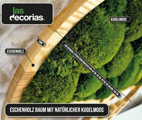 Moss Billede Moss Naturlig vægdekoration Stue Badeværelse Vægmaleri 60 x 60cm Livets Træ