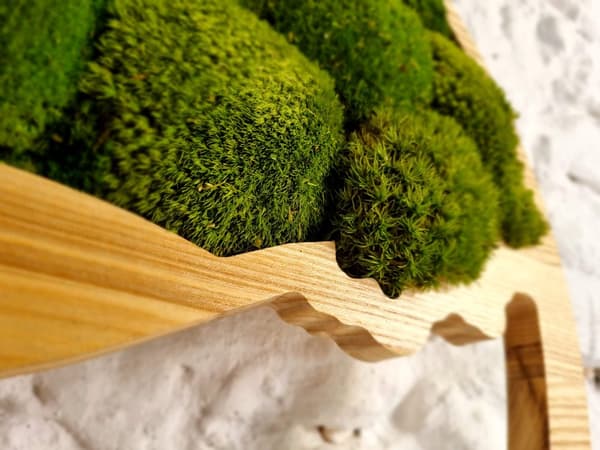 Moss Image, Moss Natural Wall Decoration, Stue Badeværelse Vægmaleri 80 x 80cm Livets Træ