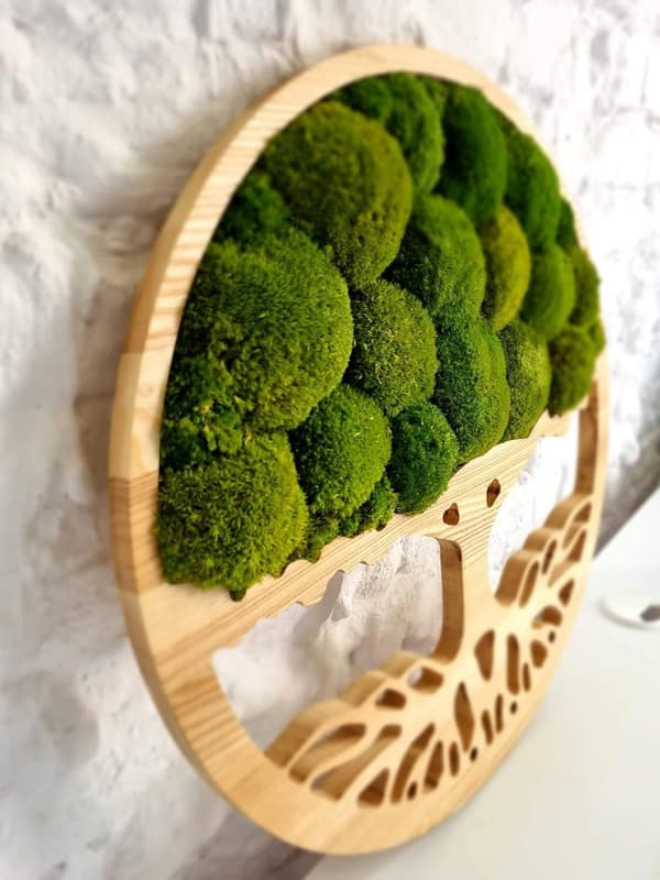 Moss Image, Moss Natural Wall Decoration, Stue Badeværelse Vægmaleri 80 x 80cm Livets Træ