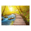 Miniatyrbild 2 av 4: Självhäftande Fototapet - Forest