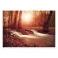Miniatyrbild 2 av 4: Självhäftande Fototapet - Autumn Dreaminess