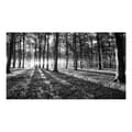 Miniatyrbild 2 av 4: Självhäftande Fototapet - Grey Wilderness II