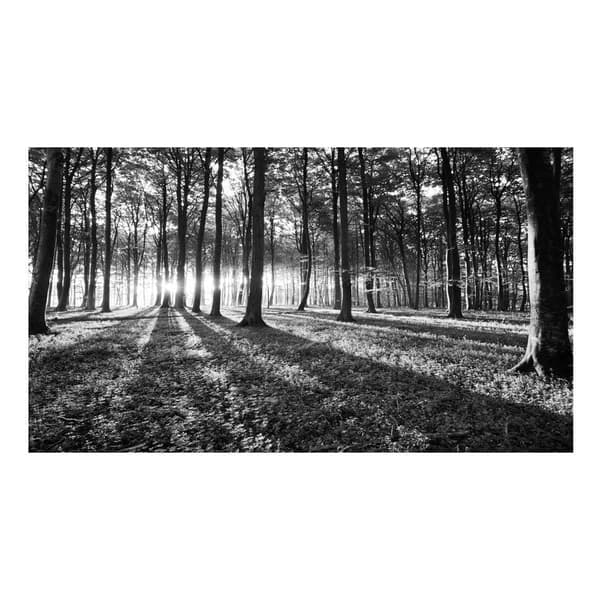 Självhäftande Fototapet - Grey Wilderness II