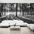 Miniatyrbild 1 av 4: Självhäftande Fototapet - Grey Wilderness II