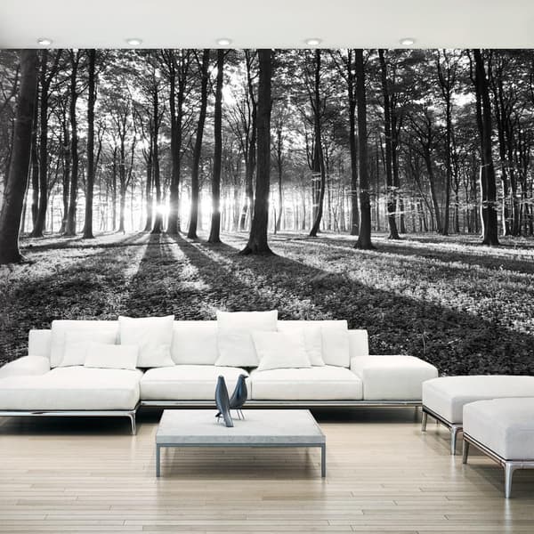 Självhäftande Fototapet - Grey Wilderness II 490x280