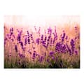 Miniatyrbild 2 av 4: Självhäftande Fototapet - Lavender in the Rain