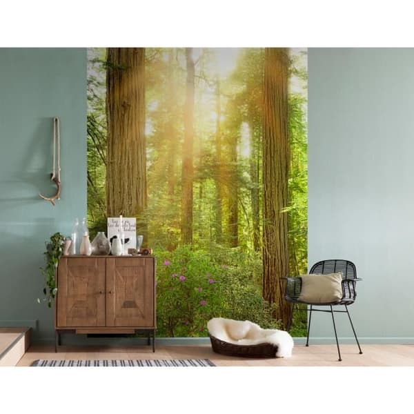 Fototapet - Redwood - 184 x 248 cm - Non-vävd - Panoramisk - Inomhus