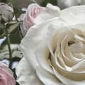 Miniatyrbild 4 av 4: Väggfoto - Komar - Blommande - 368 x 254 cm - Interiör - Blommig och växt