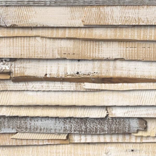Whitewashed Wood Wall Photo - 368 x 254 cm