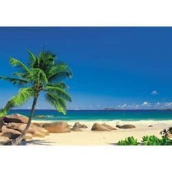 Fotopapper Strand med palmer""