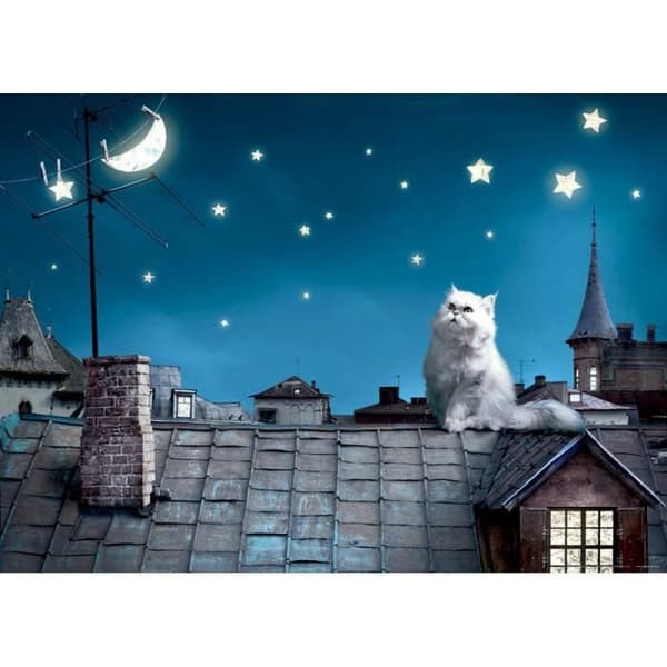 Katt på rot, non-woven fototapet, 160x110 cm, 1 del