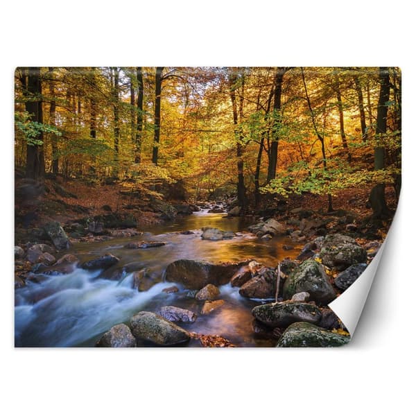 Seinämaalaus, Vuoripuro metsässä - 100x70