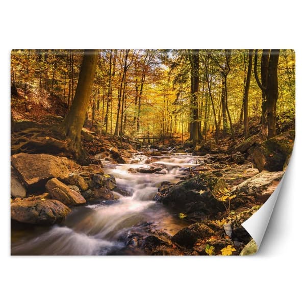 Fototapet, Skogsbäck på hösten - 200x140