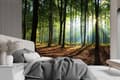 Miniatyrbild 2 av 5: Fototapet, Morgonskogsträd natur - 100x70