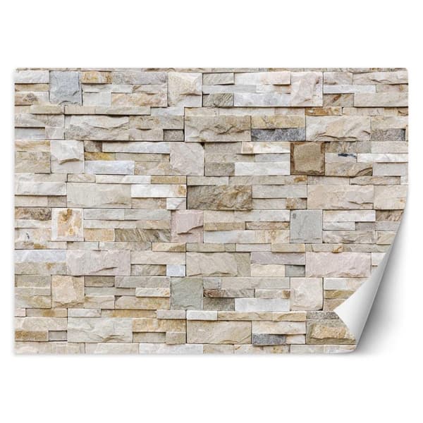 Seinämaalaus, beige hiekkakiviseinä - 100x70