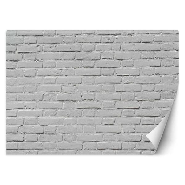 Seinämaalaus, Valkoinen tiiliseinä - 300x210