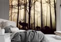 Miniatyrbild 2 av 5: Fototapet, Djur i skogen - 350x245