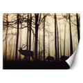 Miniatyrbild 1 av 5: Fototapet, Djur i skogen - 350x245