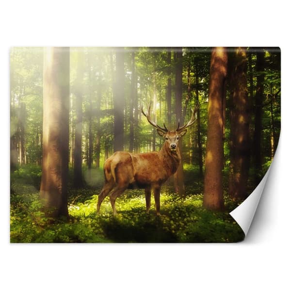 Seinämaalaus, Hirvi metsässä - 150x105