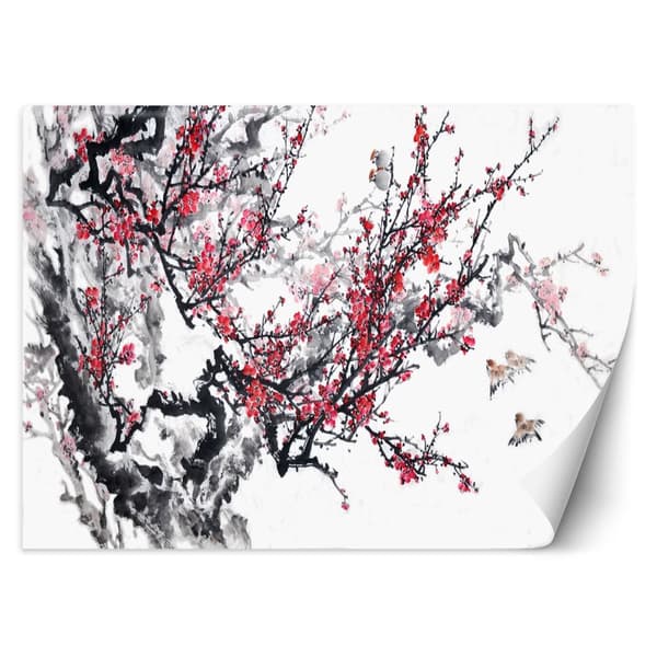 Fototapet, Körsbärsblommor - 150x105