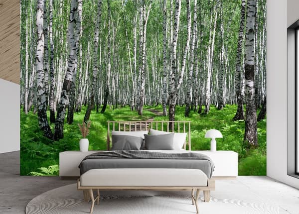 Seinämaalaus, Koivumetsä - 200x140