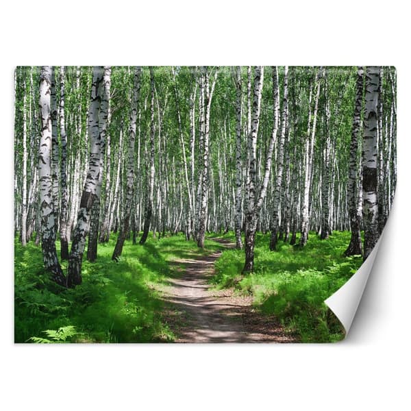 Seinämaalaus, Koivumetsä - 200x140