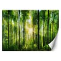 Miniatyrbild 1 av 5: Fototapet, Solstrålar i den gröna skogen - 250x175