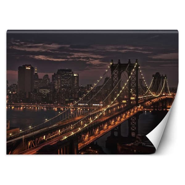 Seinämaalaus, New York Bridge - 250x175