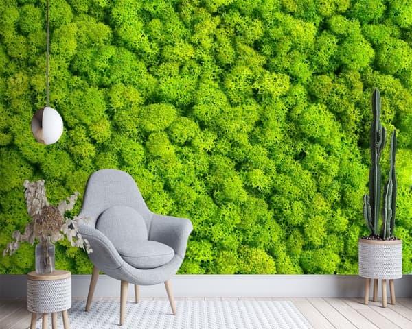 Seinämaalaus, Moss sammal - 450x315
