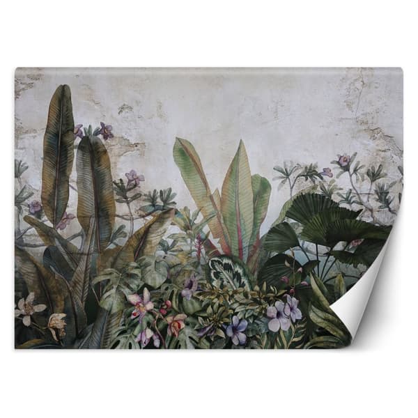 Seinämaalaus, Monstera lehdet betoniseinä - 300x210