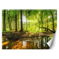 Miniatyrbillede 1 af 5: Fototapet, skovstrøm bæk solstråler natur - 300x210