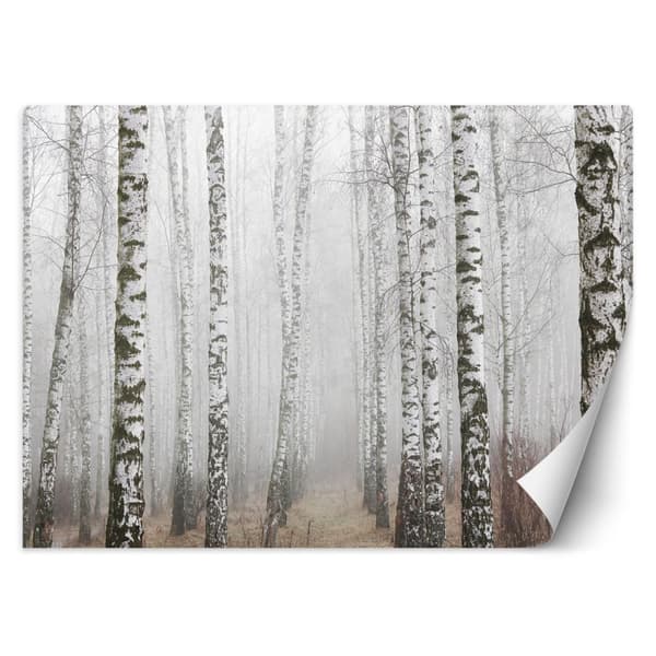 Seinämaalaus, Koivumetsä sumussa - 300x210