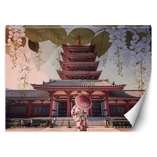 Seinämaalaus, Geisha- ja Senso Ji -temppeli Tokiossa - 200x140