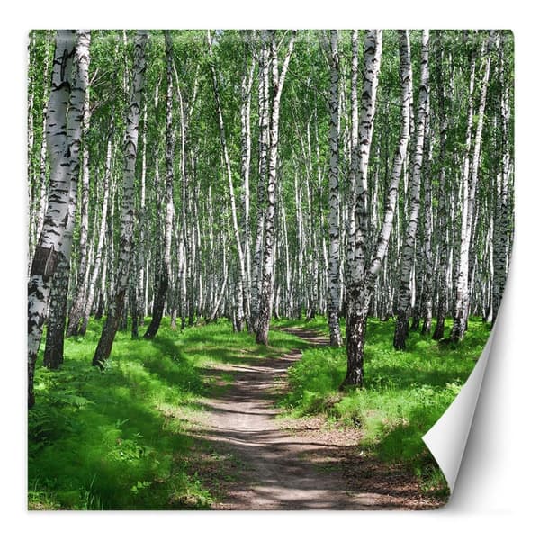 Seinämaalaus, Koivumetsä ja metsäpolku - 150x150