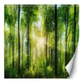 Pikkukuva 1 / 5: Seinämaalaus, metsäpuut auringonsäteet luonto - 200x200