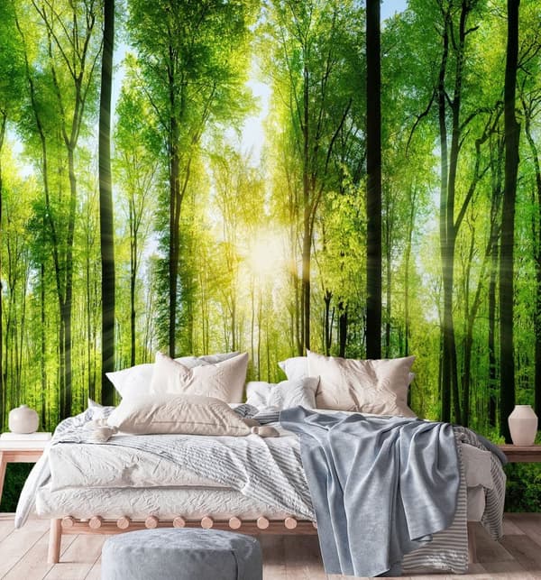 Seinämaalaus, metsäpuut auringonsäteet luonto - 250x250