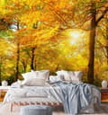 Miniatyrbild 2 av 5: Fototapet, Höstskog i solen - 300x300