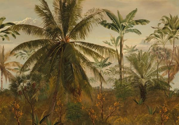 LOOKS af Wolfgang Joop | Fototapet - Jungle Morgensol - 270x350cm