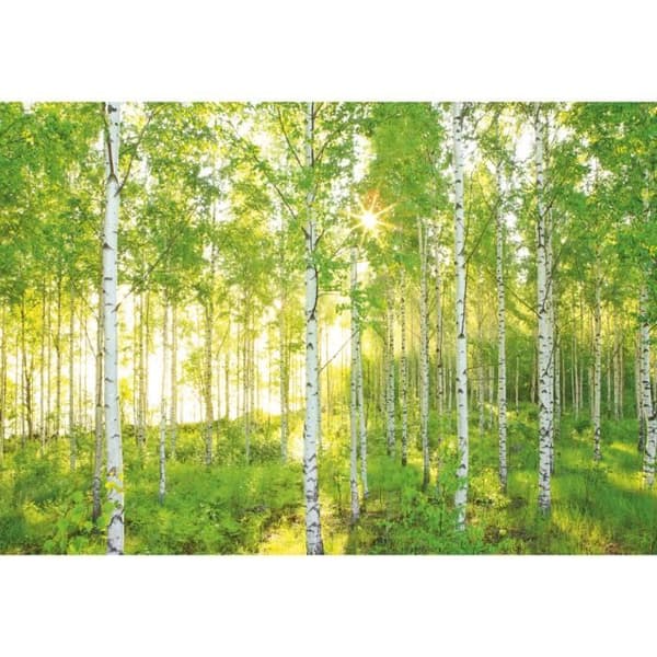 Väggfoto - 368 x 248 cm - non-woven panorama - söndag