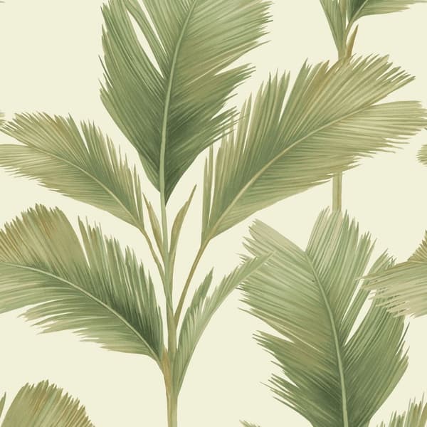 Belgravia Kailani Palm Leaf Wallpaper Sage/Cream 10m x 0.5m