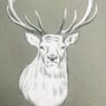 Pikkukuva 2 / 3: Catherine Lansfield Stag Wallpaper