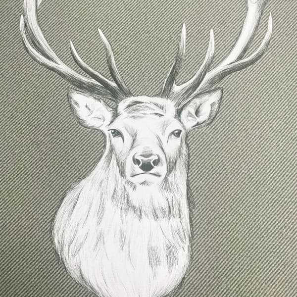 Catherine Lansfield Stag Wallpaper