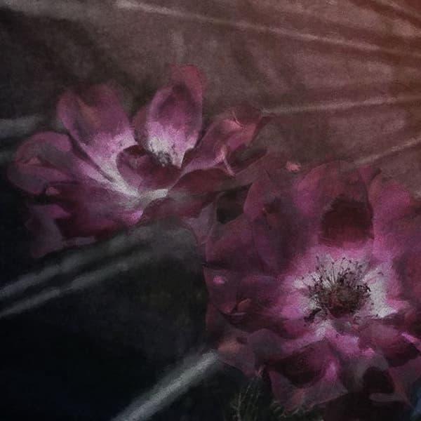 panorama rund självhäftande tapet flamländska blommor rosa, blå och grön - Ø 125 cm - 611736