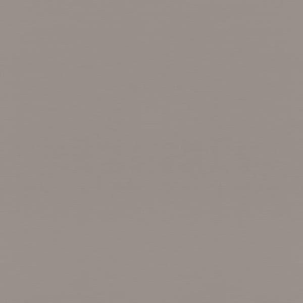 Rasch Tropical House 687545 Non-woven tapet Enfärgad 0.53 x 10.05 m Grå