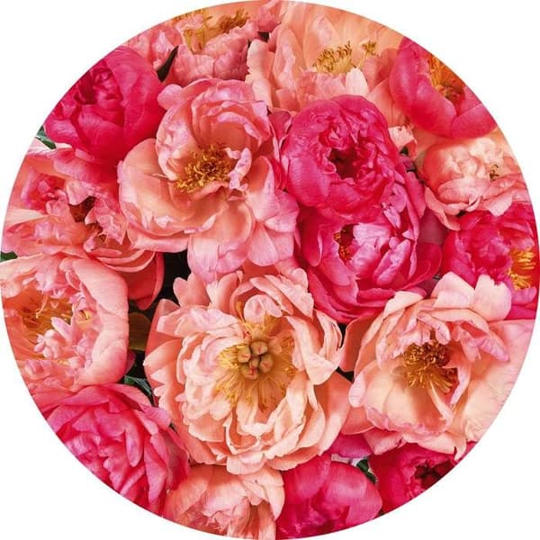 rund panorama självhäftande tapet rosa blommor - Ø 125 cm - 611805