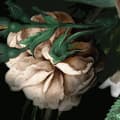 Miniatyrbild 5 av 6: panorama runt självhäftande tapetsömmar av rosa och gröna blommor - Ø 125 cm - 611734