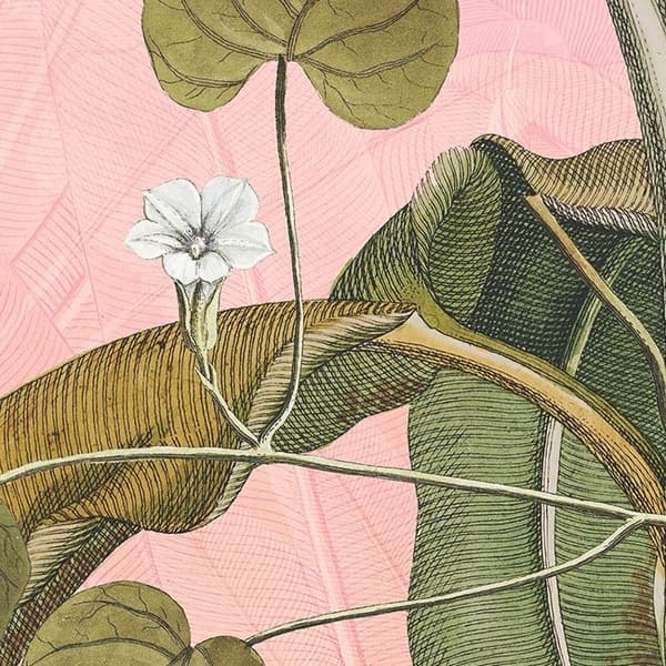 panorama rund självhäftande botanisk tapet rosa och grön - Ø 125 cm - 611769
