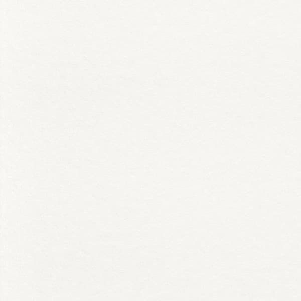 Målarpapper 116601 enfärgat tapet 100 x 5000 cm Rasch Tropical House vit